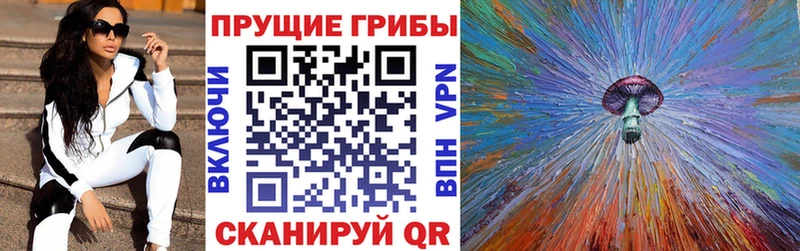 darknet официальный сайт  что такое   Фокино  Галлюциногенные грибы Magic Shrooms 
